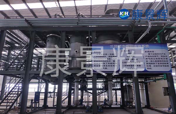多效降膜蒸發(fā)器可以用來濃縮處理廢水，特別適合處理牛奶、淀粉、葡萄糖等食品廠廢水的加工處理中